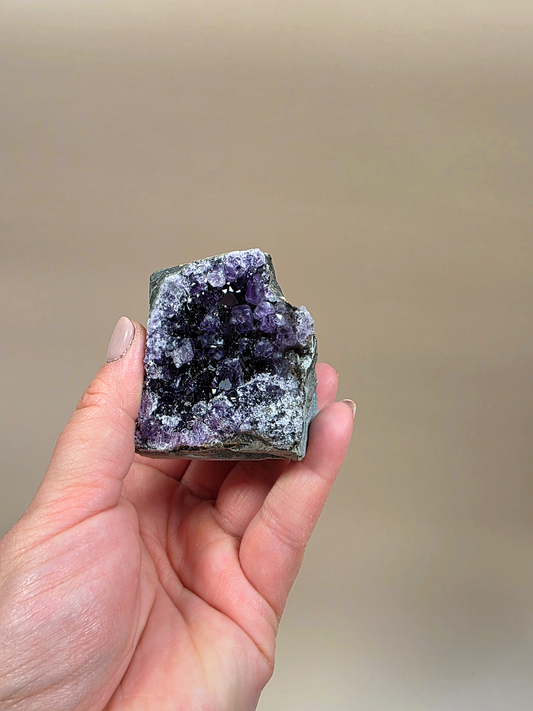 Amethyst Druse Nahaufnahme - intensive violette Färbung

