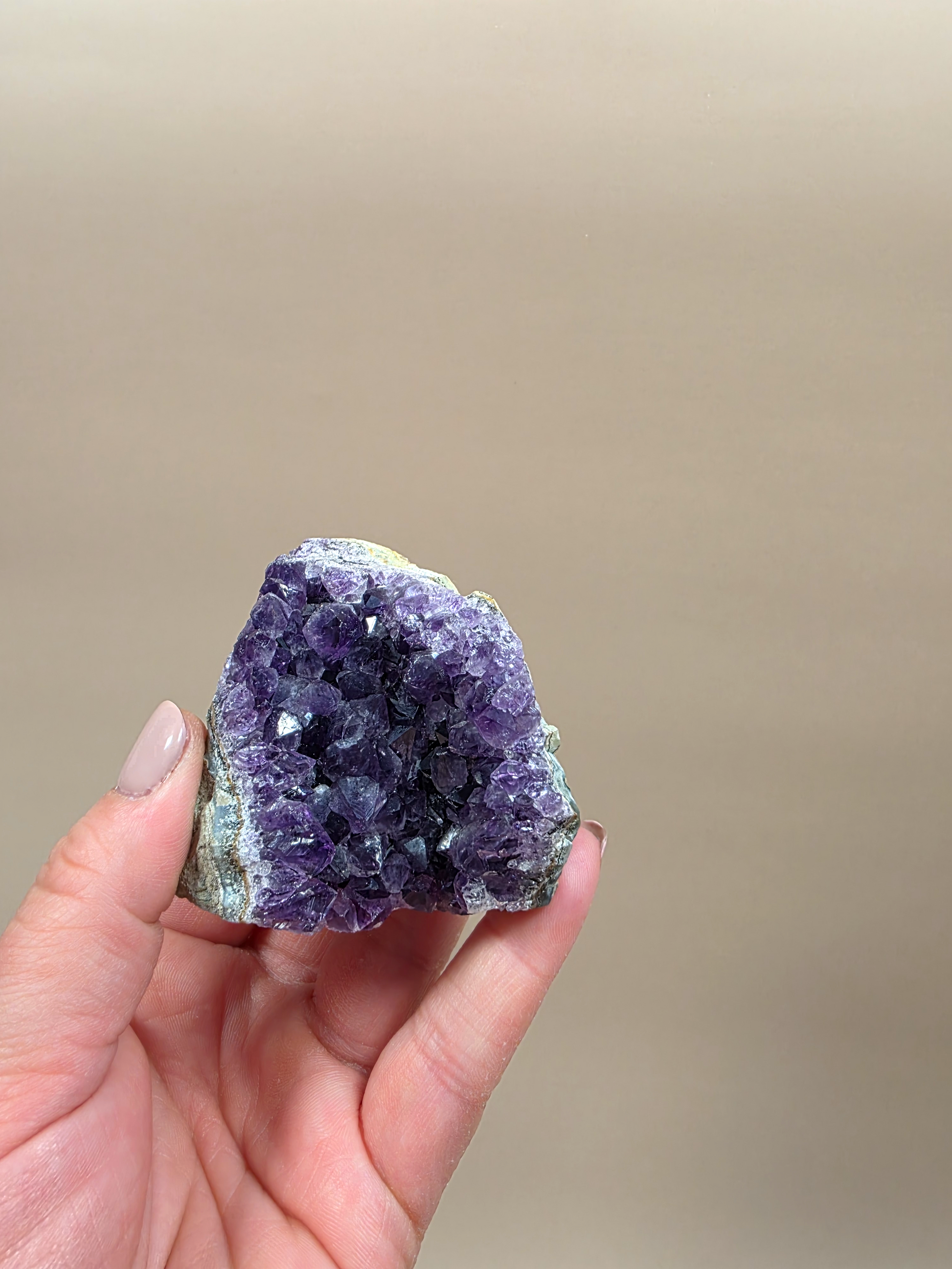 Amethyst Amethyst Druse mit violetten Kristallen - natürliche Mineralien
