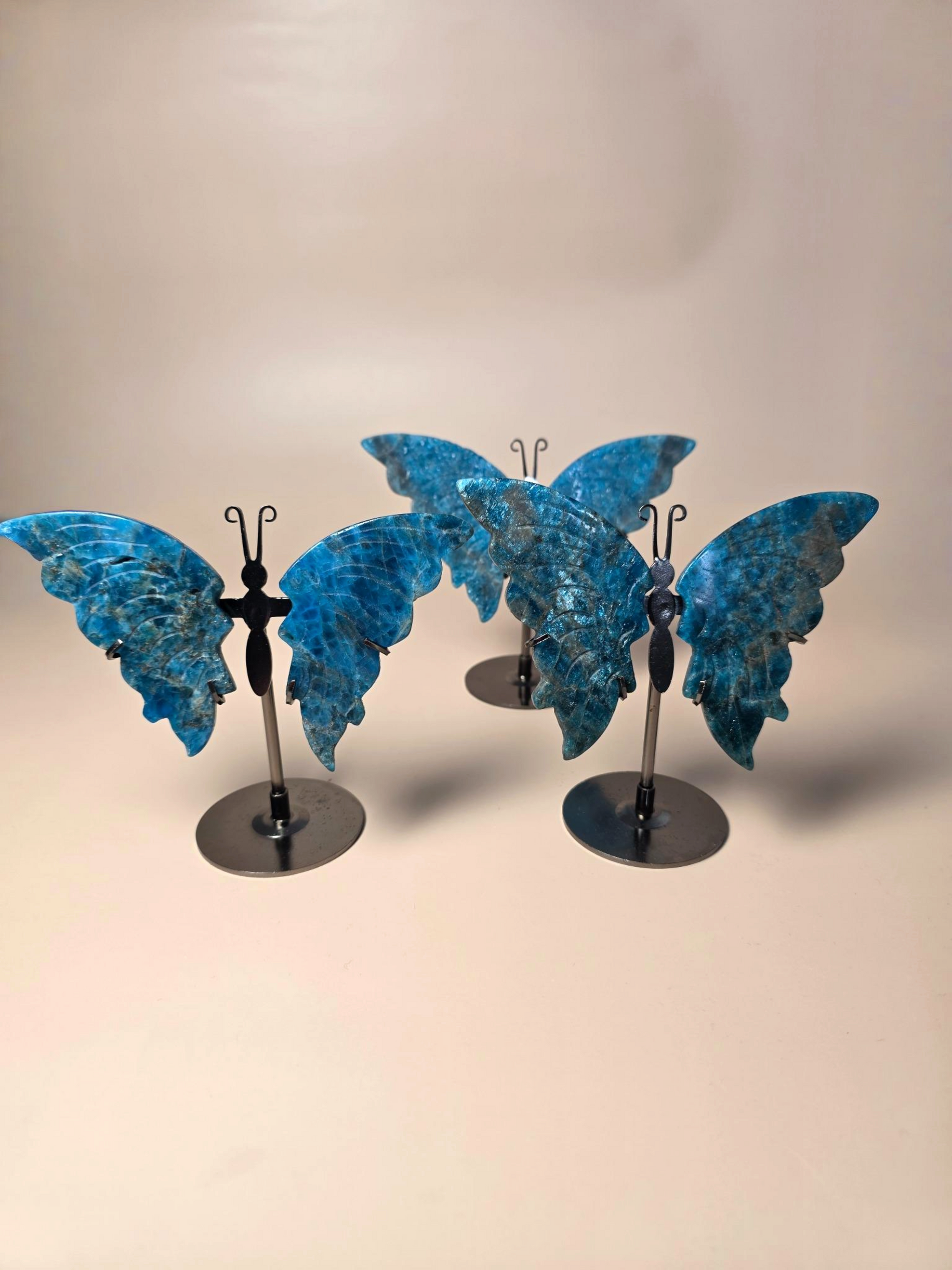 Apatit Schmetterling - intensiv blauer Kristall auf Ständer handgeschliffen