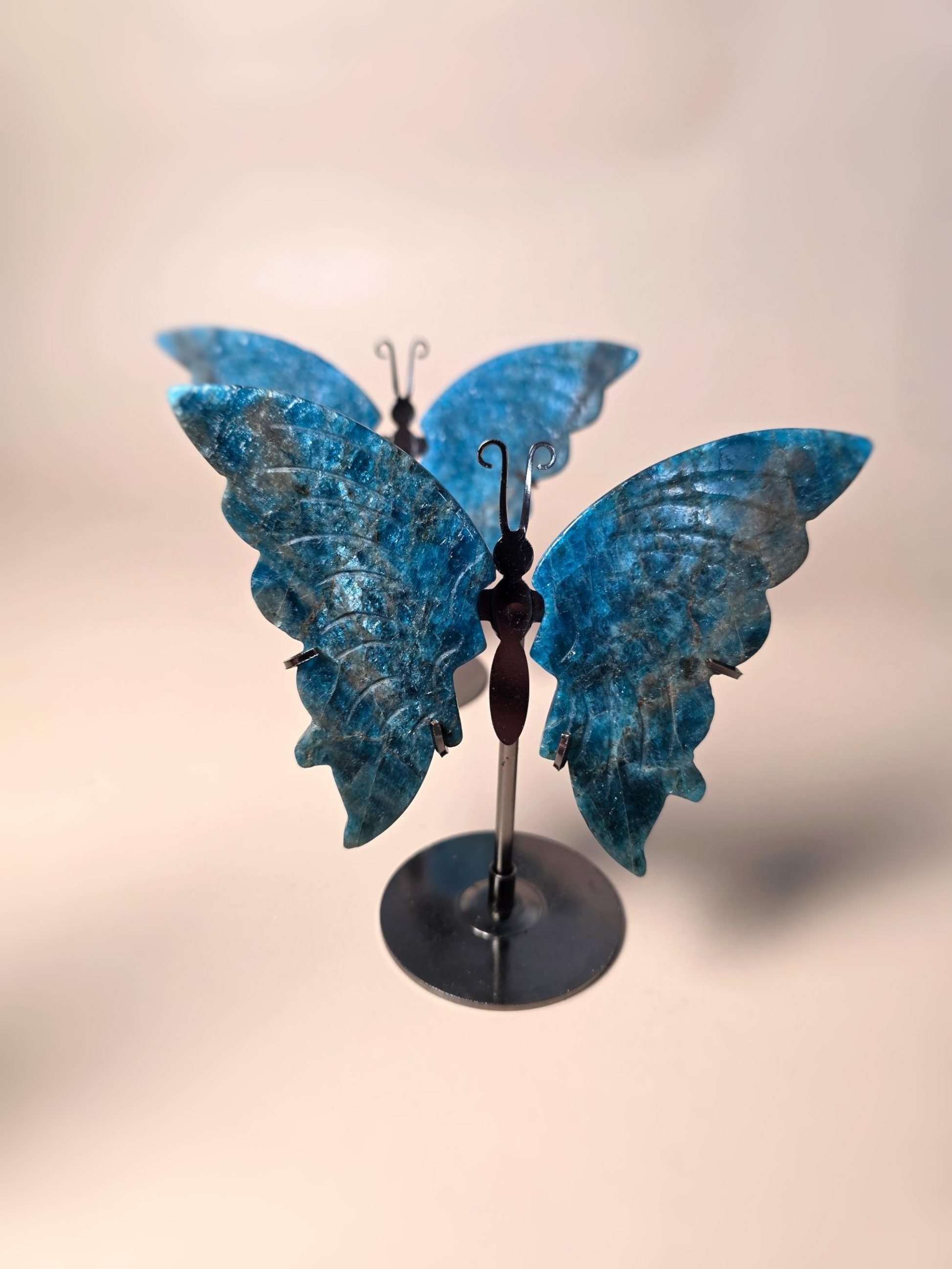Apatit Schmetterling Nahaufnahme - intensiv blauer Kristall auf Ständer handgeschliffen