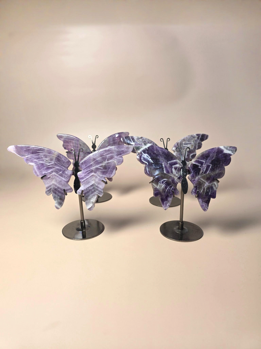 Chevron Amethyst Schmetterling violett-weiß - spiritueller Schutzstein gestreift
