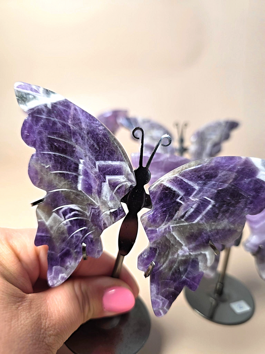Chevron Amethyst Schmetterling Detail - natürliche V-Musterung Premium Qualität
