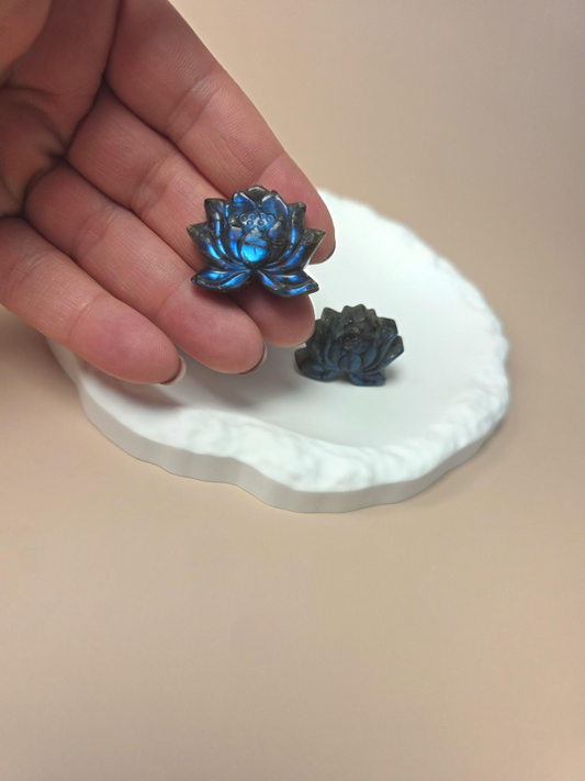 Labradorit Lotus Carving Seitenansicht – natürlicher Labradorit mit Labradoreszenz bei Crystal Haven