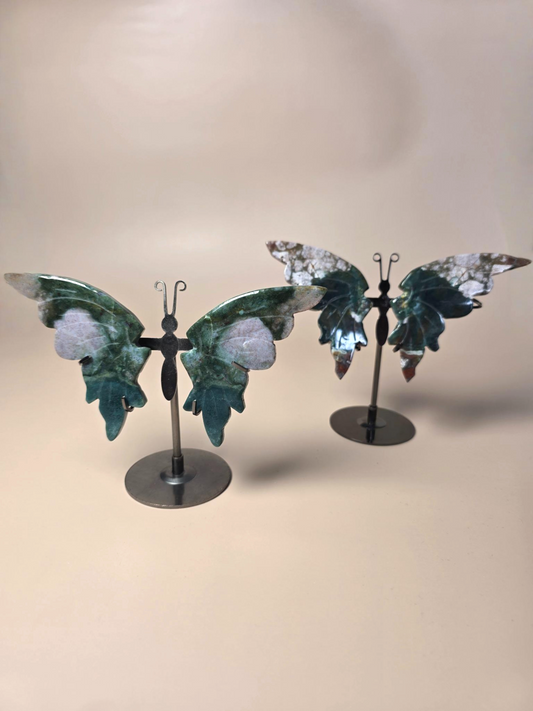 Ozean Jaspis Schmetterling grün-braun - Erdungsstein mit natürlicher Maserung
