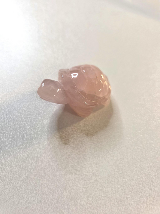 Rosenquarz Schildkröte